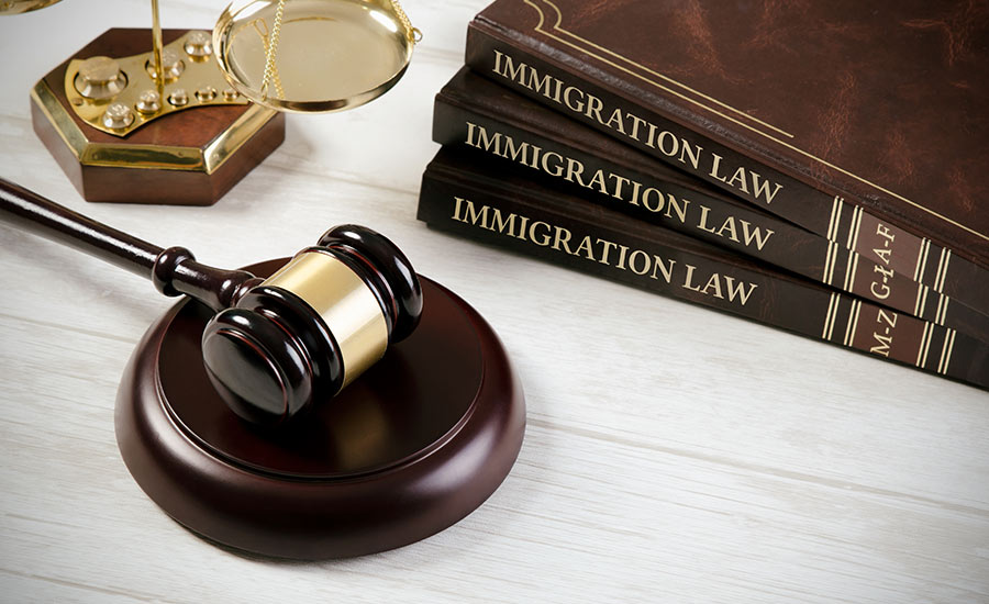 An immigration law book and a gavel​