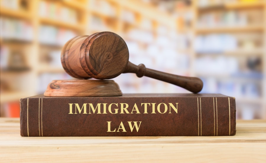 An immigration law book with a gavel​