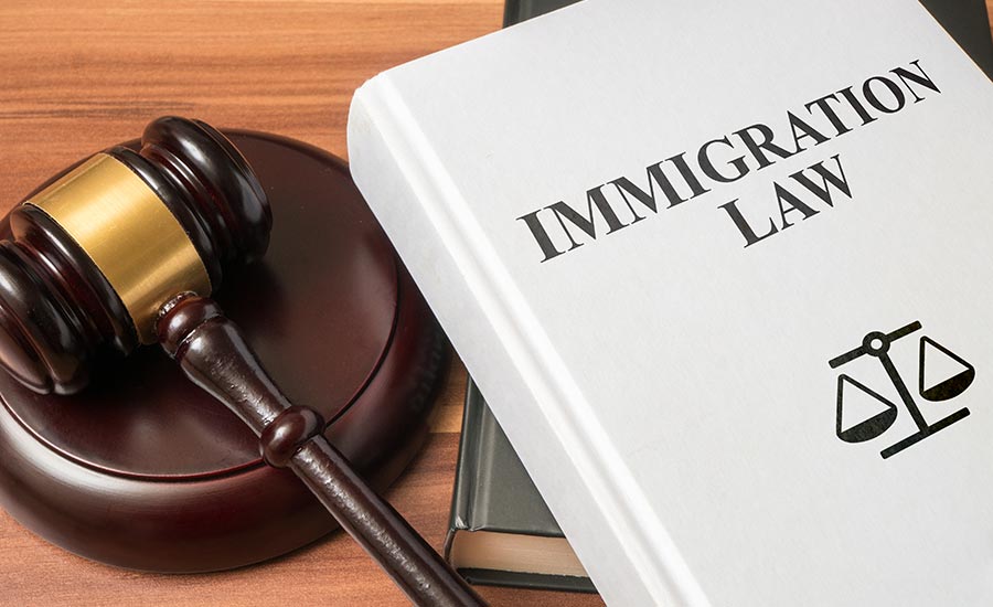 A gavel and an immigration law book